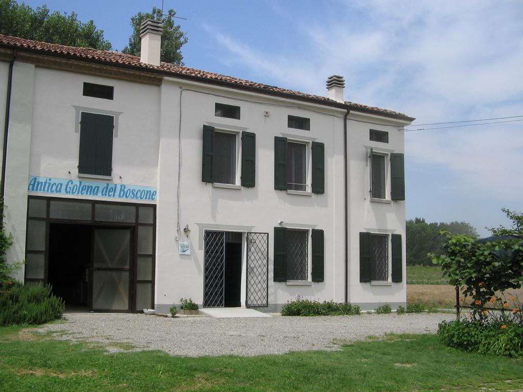 Agriturismo Antica Golena Guastalla Bagian luar foto