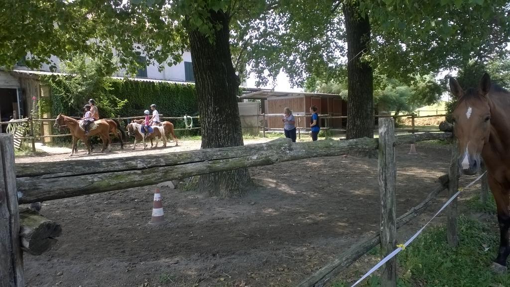 Agriturismo Antica Golena Guastalla Bagian luar foto